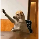 Memes de Tiktok 18