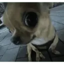 Memes de Tiktok 27