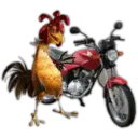 Pepe el gallo 🐓 pollo 🐓 20