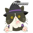 Halloween Cute Black Cat🐈‍⬛✨ 10