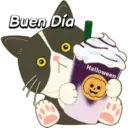 Halloween Cute Black Cat🐈‍⬛✨ 12