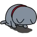 Meme Kucing Jail 14
