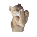 Historias Gatunas Gatos 9