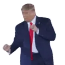 Reações Donald Trump 14