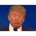 Reações Donald Trump 10