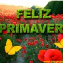 FELIZ PRIMAVER www.imagenes