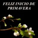 FELIZ INICIO DE PRIMAVERA