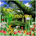 Feliz Primavera imikimi.com