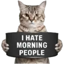 😾 Gatos haters 🐈‍⬛Hate morning 12