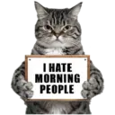 😾 Gatos haters 🐈‍⬛Hate morning 9