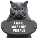 😾 Gatos haters 🐈‍⬛Hate morning 15