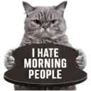 😾 Gatos haters 🐈‍⬛Hate morning 5