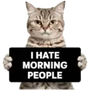 😾 Gatos haters 🐈‍⬛Hate morning 17