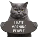😾 Gatos haters 🐈‍⬛Hate morning 13
