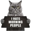 😾 Gatos haters 🐈‍⬛Hate morning 6