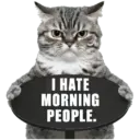 😾 Gatos haters 🐈‍⬛Hate morning 7