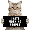 😾 Gatos haters 🐈‍⬛Hate morning 8