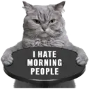 😾 Gatos haters 🐈‍⬛Hate morning 16