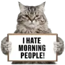 😾 Gatos haters 🐈‍⬛Hate morning 10