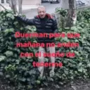 Memes Frases📝🍋‍🟩 15