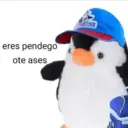 Memes Frases📝🍋‍🟩 14