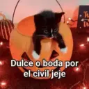 Memes Frases📝🍋‍🟩 9