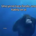 Memes Frases📝🍋‍🟩 30