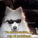 Memes Frases📝🍋‍🟩 28