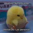 Memes Frases📝🍋‍🟩 29