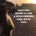 Memes Frases📝🍋‍🟩 10