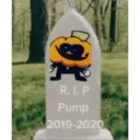 R. I. P Pump 2019-2020