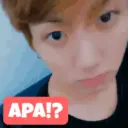 K-POP 8