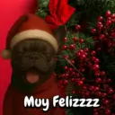 Navidad Bulldog templates🐾🎄✨ 18
