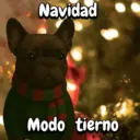 Navidad Bulldog templates🐾🎄✨ 16