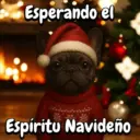 Navidad Bulldog templates🐾🎄✨ 10