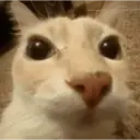 Tiktok photos 22