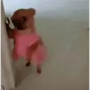 Tiktok photos 25