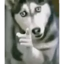 Tiktok photos 14