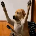 Reacciones de Tiktok 4😎 26