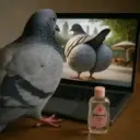 Reacciones de Tiktok 4😎 19