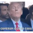 Go Trump! 10