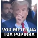 Go Trump! 22