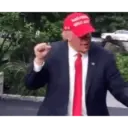 Go Trump! 9