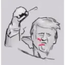 Go Trump! 18
