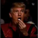 Go Trump! 29