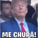 Go Trump! 15
