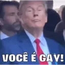 Go Trump! 5