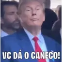 Go Trump! 8