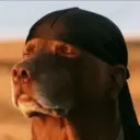 Tiktok Memes🎵🍻 23