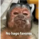 Para contestar 🫰🏻 10